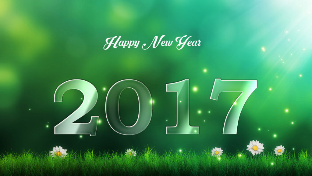 Herby Organics wishing you all a very happy new year 2017