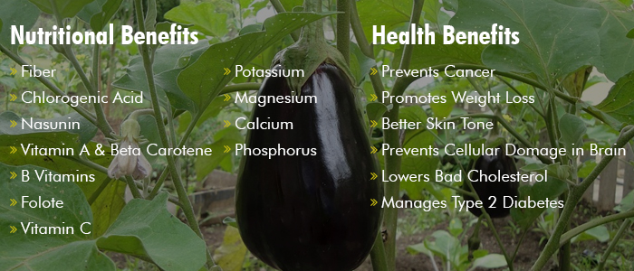 health benefits of eggplant