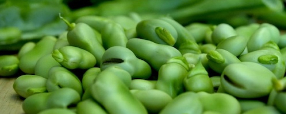 Surprising Health Benefits of Broad Beans