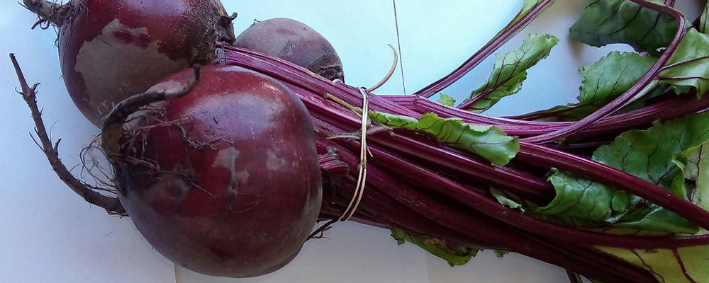 Nutritional Benefits of Vigorous Beet-root