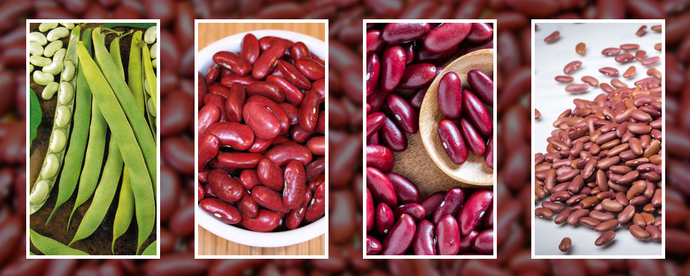 Ten Health Benefits of Kidney Beans