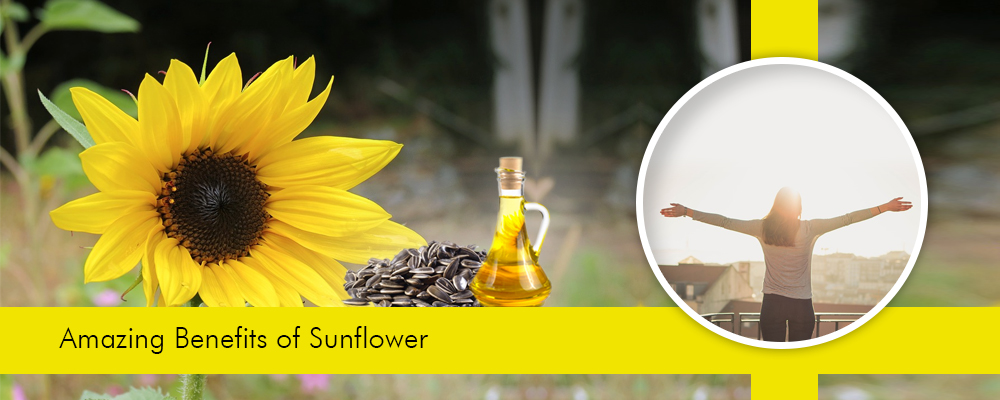 Sunflower – A Path towards a Healthy Life