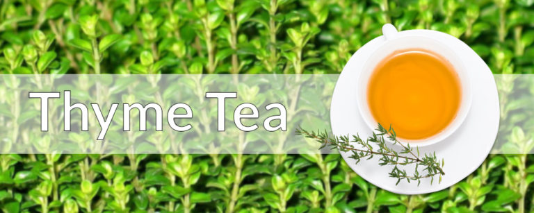 thyme tea for weight loss