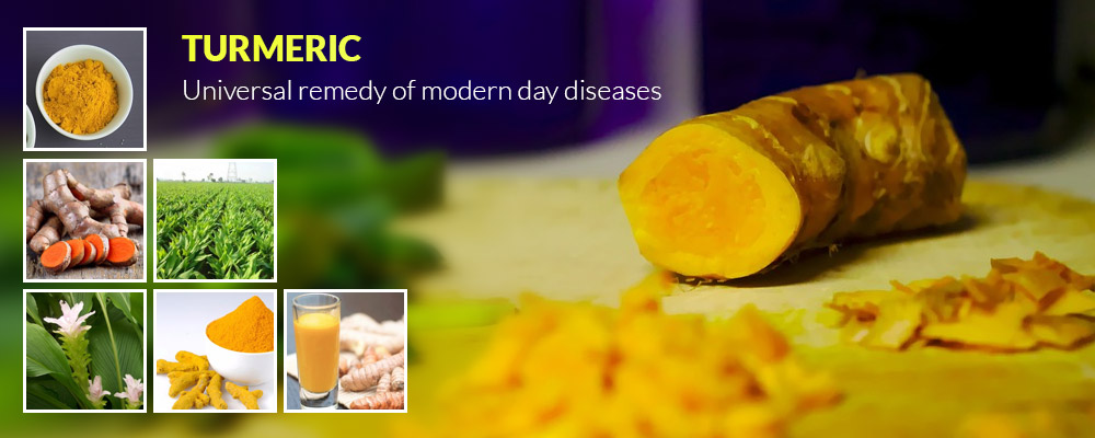 Turmeric – Universal remedy of modern day diseases