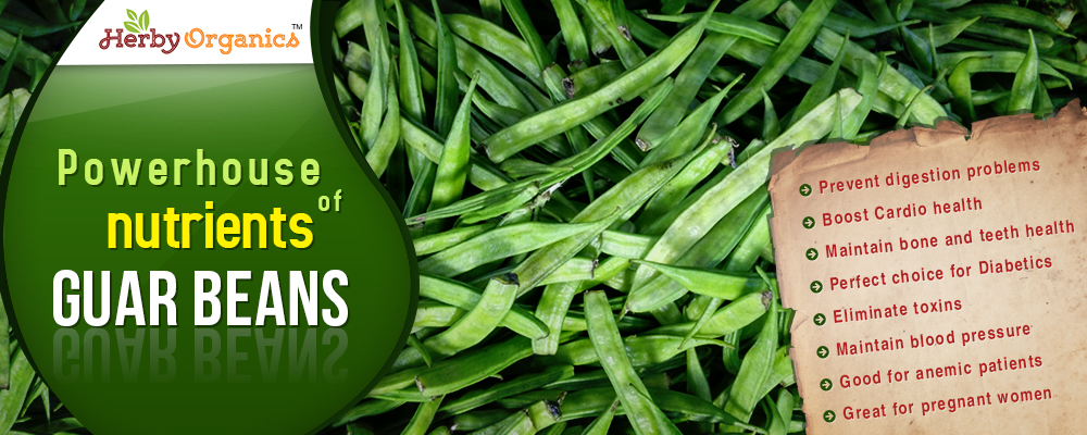 Powerhouse of nutrients – Guar Beans