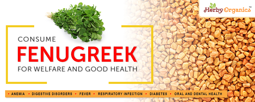 Fenugreek for good health