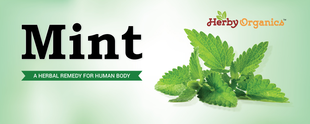 Why Mint should be your friend?