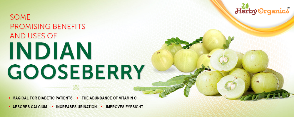 For Long health life try Indian Gooseberry