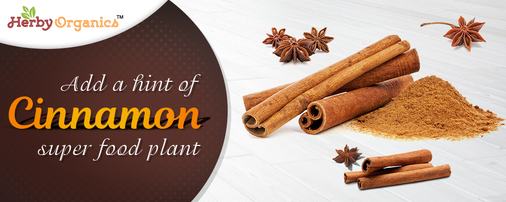 Add health to your life with Cinnamon