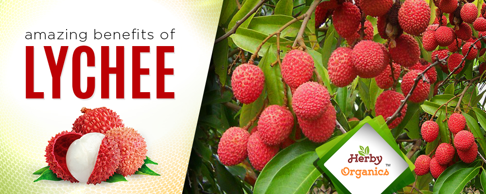 Enjoy the Super Fruit Lychee