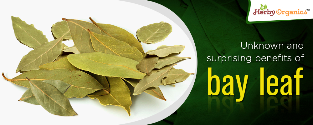 Unknown & surprising benefits of Bay leaf