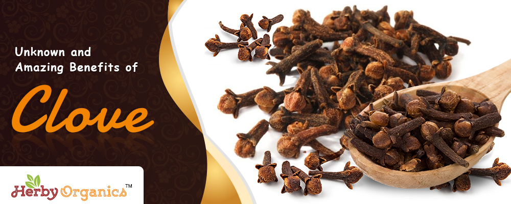 Unknown and Amazing Benefits of Clove