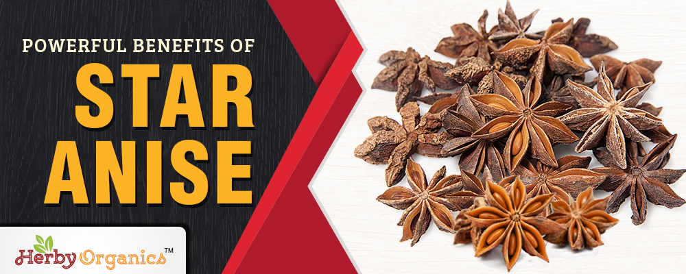 Powerful Benefits of Star Anise